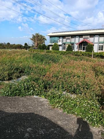田中農地-3
