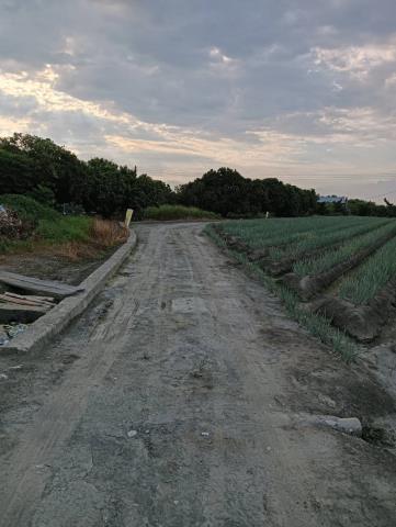 溪州農地-3