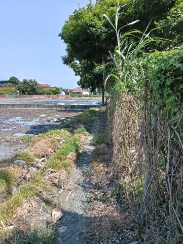 彰化二水農地-5
