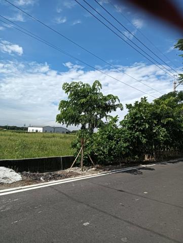 彰化溪州農地-7