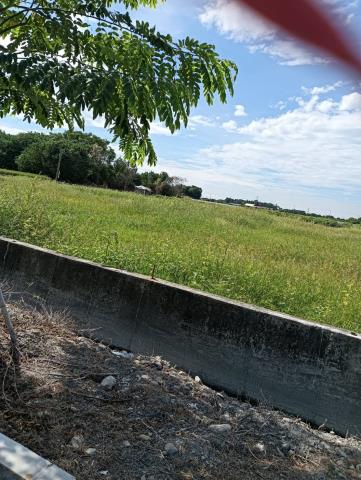 彰化溪州農地-8